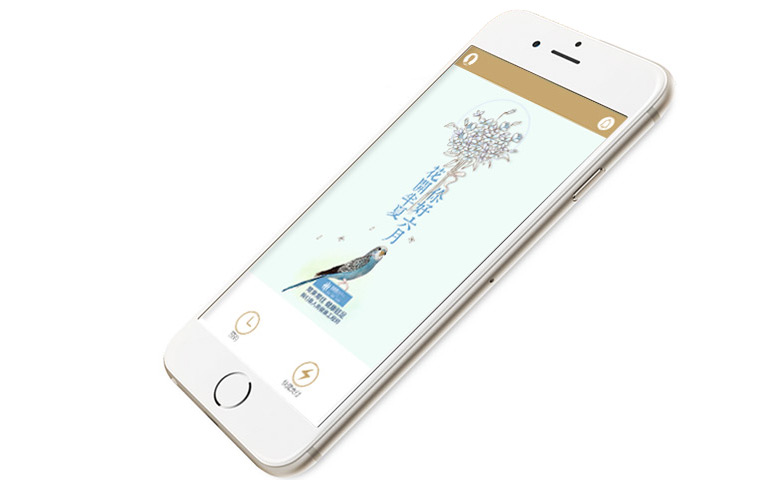 Project Image 1